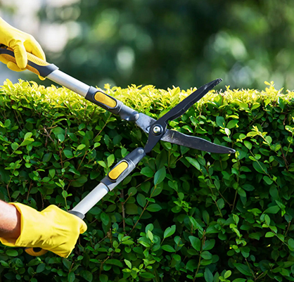 Tonte de pelouses et prés